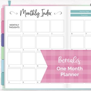 DPC Digitals | February Borealis Theme One Month Digital Planner Freebie