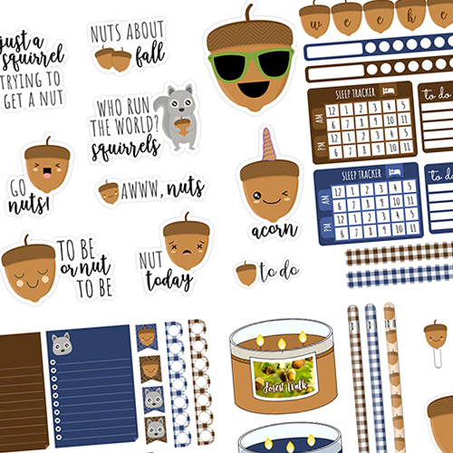 Acorn Fun Digital Stickers