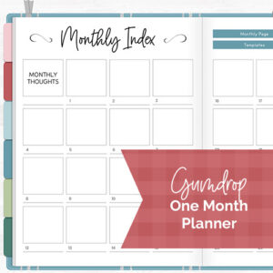 DPC Digitals | December Gumdrop Theme One Month Digital Planner Freebie