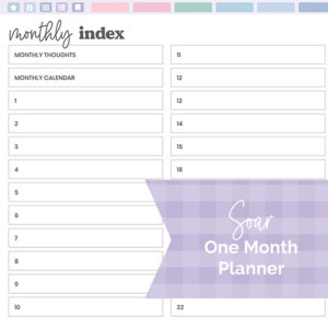 DPC Digitals | MAY Soar Theme One Month Digital Planner Freebie