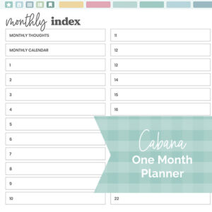 DPC Digitals | June Cabana Theme One Month Digital Planner Freebie