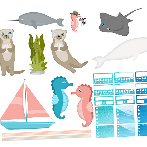 Ocean Vibes Sea Life