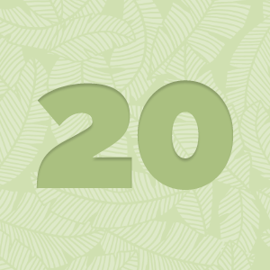 DPC 2026 June Virtual Race | @DPCDigitals